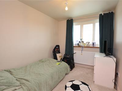 Picture 20
